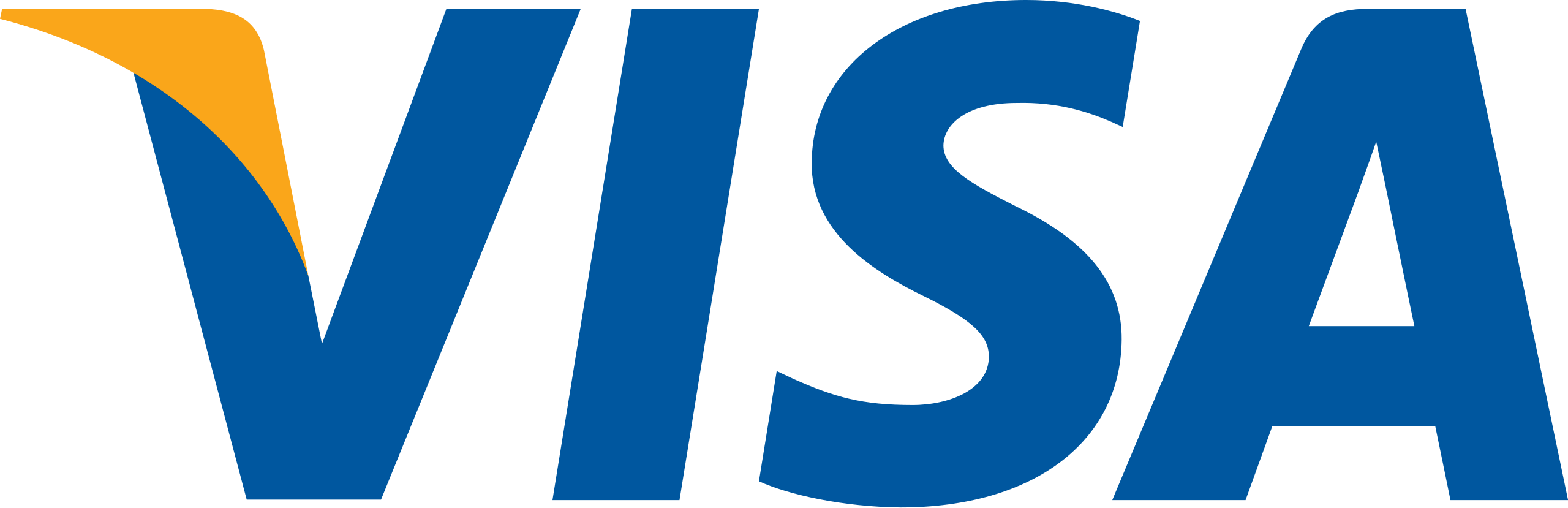 visa icon